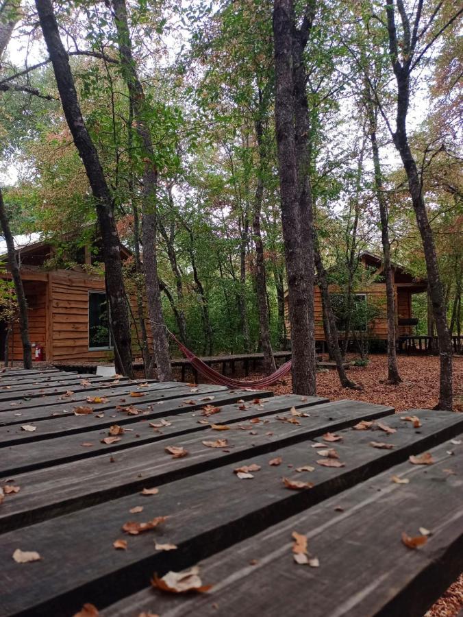Cabanas Huilipan Las Trancas Ngoại thất bức ảnh