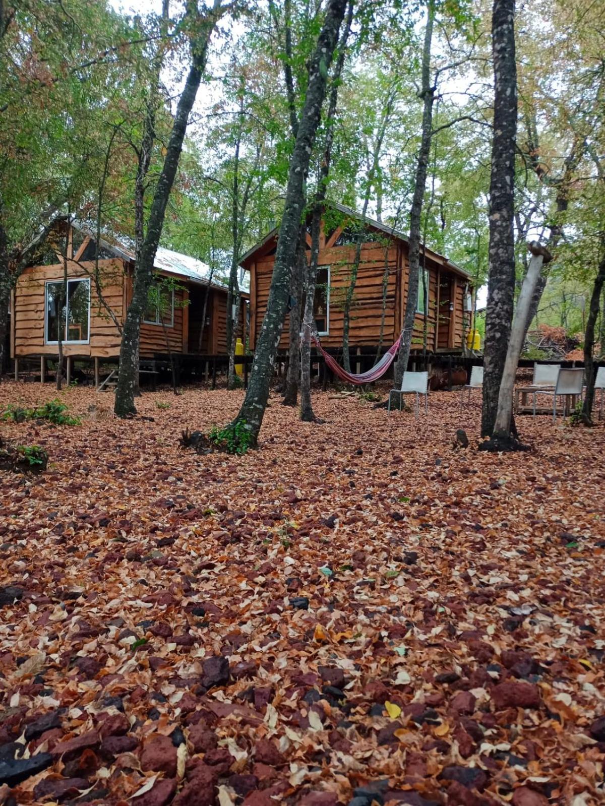 Cabanas Huilipan Las Trancas Ngoại thất bức ảnh
