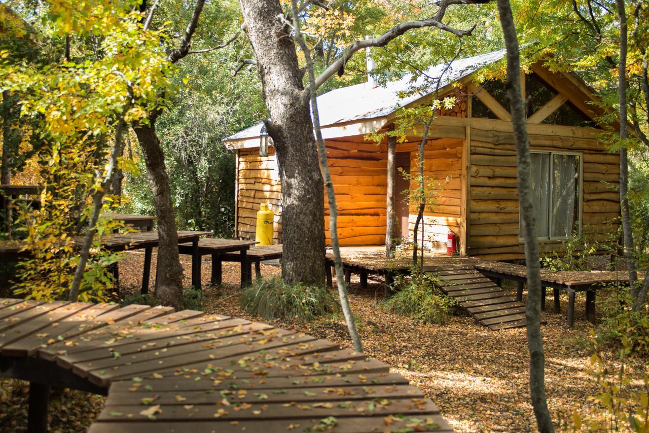 Cabanas Huilipan Las Trancas Ngoại thất bức ảnh